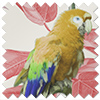 Parakeet Faux Silk, Fruit Punch - Made to Measure Curtain